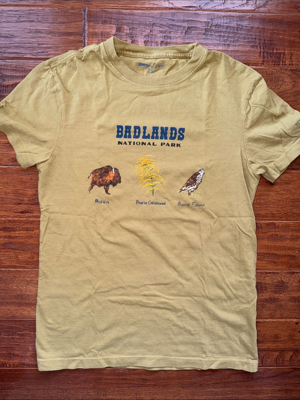 JCrew National Park Foundation Badlands and J.Crew graphic T-shirt, XS (men's)